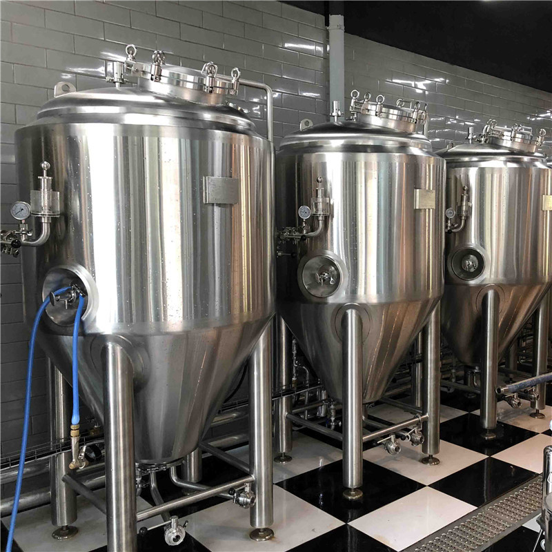 500L vertical beer fermentation tank WEMAC G008